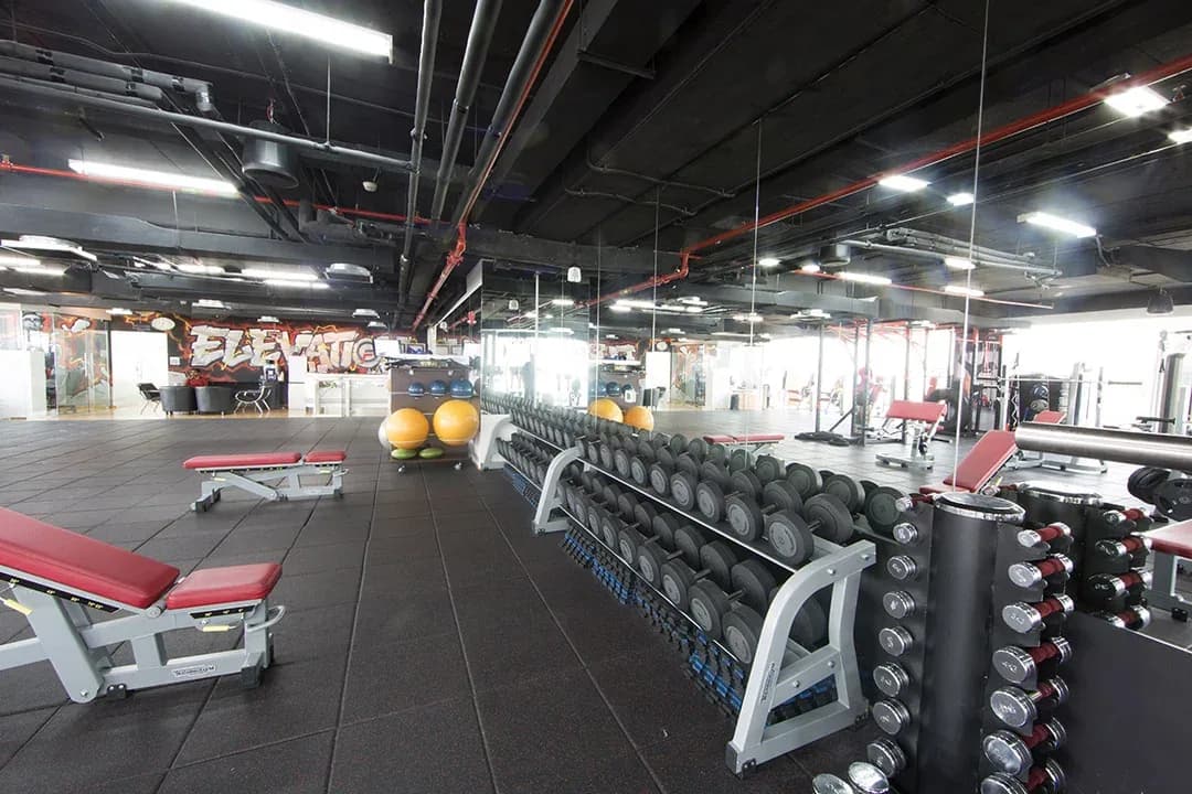 Elevation Fitness — Fitness interior design by Rectangle Interiors, One by Omniyat